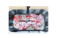 Load image into Gallery viewer, "Flossie's One Fish Per Person Rule", 2024